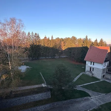 Woodland Strawberry - Titova * ズラティボール