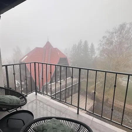 Woodland Strawberry - Titova *