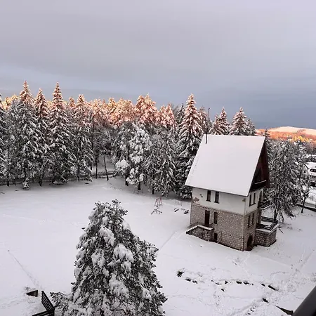 Woodland Strawberry - Titova Apartament *