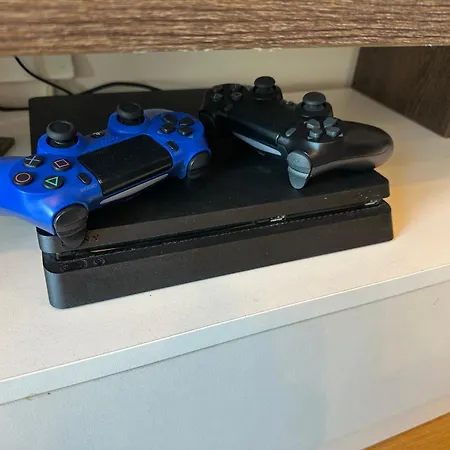 Woodland Strawberry - Titova