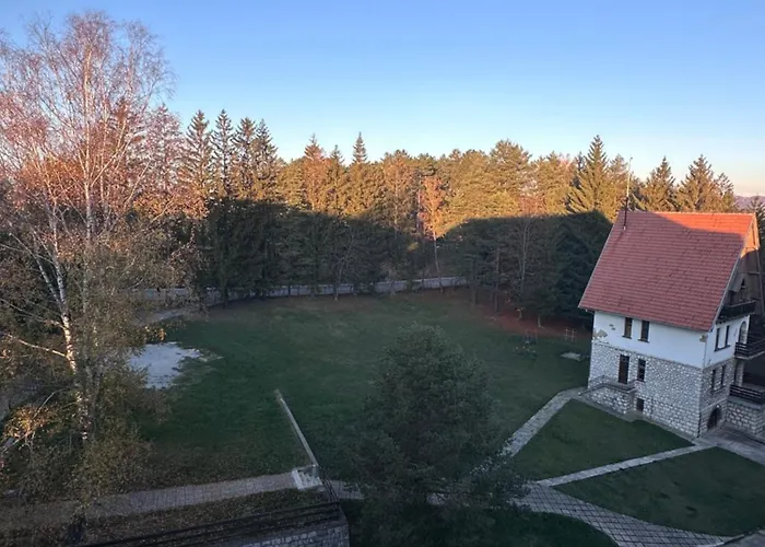 Woodland Strawberry - Titova * 즐라티보