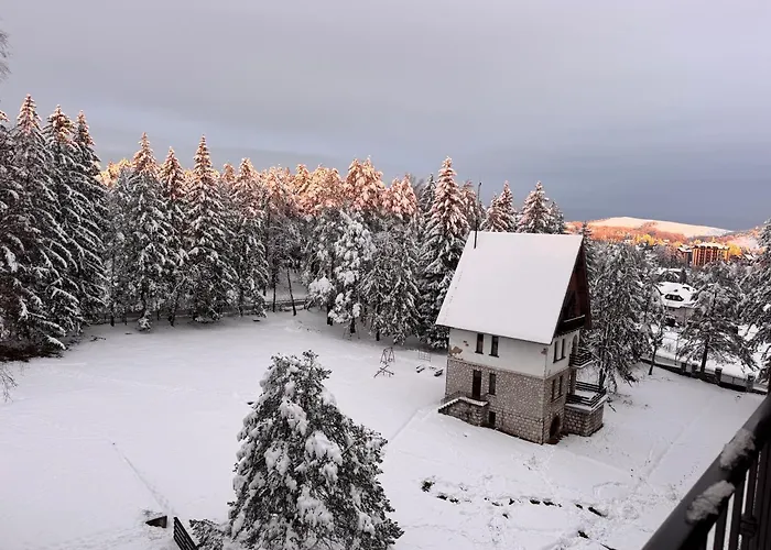 Woodland Strawberry - Titova 아파트 *